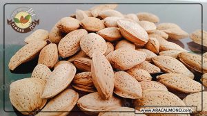خرید بادام درختی با پوست یا بی پوست و بهترین قیمت روز