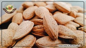 مرجع خرید مغز بادام درختی در ایران