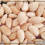 بررسی طبع و خواص انواع بادام درختی