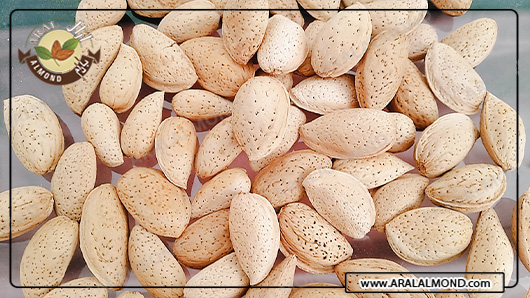 بررسی طبع و خواص انواع بادام درختی