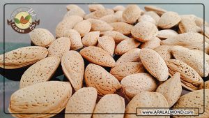 فروش مغز بادام سنگی با قیمت مناسب در آرال آلموند