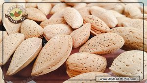 تولید فله ای بادام درختی درجه یک و ارگانیک