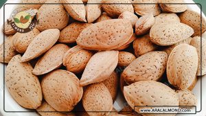 فروش بادام ربیع با پوست به صورت عمده