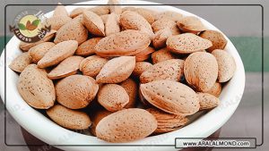 فروش بادام تلخ با پوست به صورت عمده