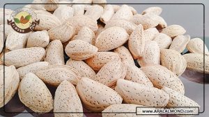 فروشگاه بادام مامایی با کیفیت در ایران