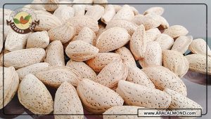 قیمت بادام مامایی سامان و ویژگی این بادام