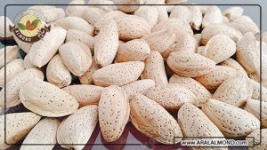 نمایندگی سفارش مغز بادام ایرانی در بازار