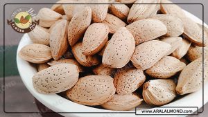 فروش محصولات بادام مامایی ارگانیک