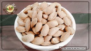 صادرات فله ای بادام مامایی با پوست