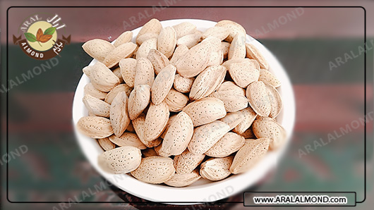 عرضه بی واسطه بادام شاهرودی