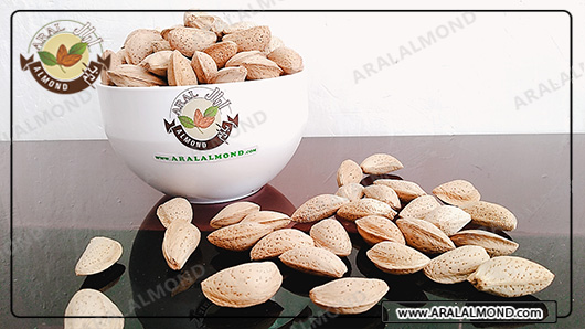 آشنایی با چند نوع بادام درختی با پوست و مقایسه آن ها با یکدیگر