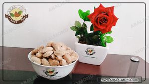 خرید بادام مامایی سامان در اصفهان