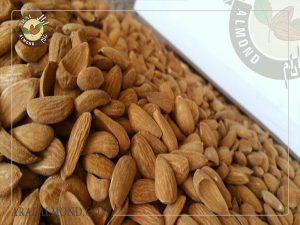 خرید بادام ربیع