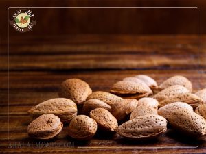 خرید کلی بادام ربیع