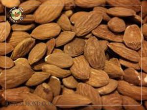 خرید کلی بادام ربیع