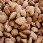 خرید بادام درختی خام صادراتی و خواص بادام