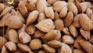 خرید بادام درختی خام صادراتی و خواص بادام