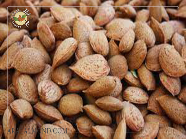 خرید بادام درختی خام صادراتی و خواص بادام