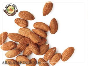 فروش بادام افغان با قیمت مناسب در آرال آلموند