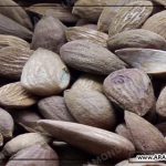 فروش اینترنتی مغز بادام افغانی در ایران
