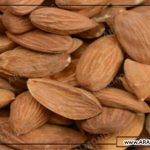 فروش مغز بادام افغان با قیمت مناسب در آرال آلموند