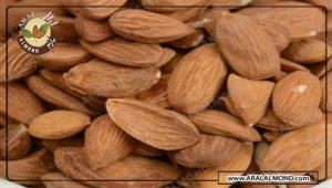 فروش مغز بادام افغان با قیمت مناسب در آرال آلموند
