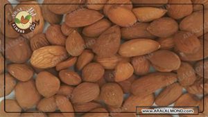 فروش بادام افغان با قیمت مناسب در آرال آلموند