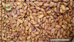 عرضه عمده بادام زرین به صورت عمده و خرد