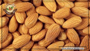 فروش فله ای مغز بادام زرین درشت