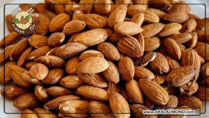 فروش مغز بادام خارجی با قیمت مناسب در آرال آلموند