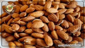 فروش محصولات مغز بادام زرین