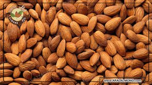 عرضه بهترین بادام خارجی در ایران