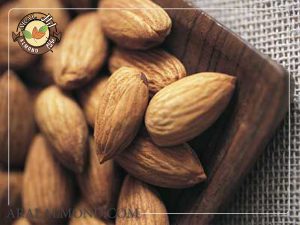 صادرات و قیمت بادام شیرین درختی ایرانی
