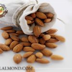 سفارش انبوه مغز بادام خارجی با کیفیت