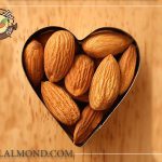 صادرات و فروش بادام شیرین و تلخ درختی