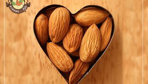 صادرات و فروش بادام شیرین و تلخ درختی