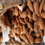 عرضه ی فله ای مغز بادام افغان ارزان