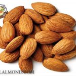 فروش انبوه مغز بادام افغان با کیفیت