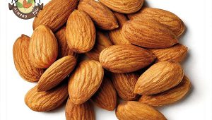 فروش انبوه مغز بادام افغان با کیفیت