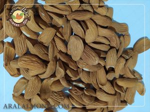 سفارش مغز بادام شاهرودی با کیفیت