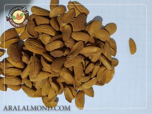 فروش مغز بادام شاهرودی 12 درجه یک