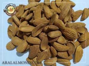 سفارش مغز بادام شاهرودی با کیفیت