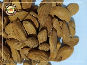 قیمت انواع بادام آجیلی باکیفیت
