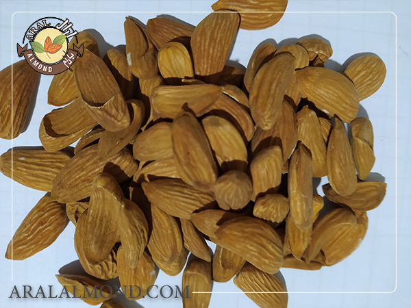 خرید بادام مامایی سامان در اصفهان