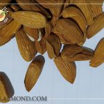خرید و قیمت مغز بادام شاهرودی 12