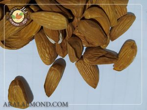 خرید و قیمت مغز بادام شاهرودی 12