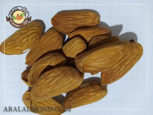 فروش مغز بادام شاهرودی با قیمت مناسب در آرال آلموند
