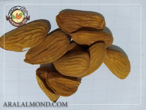 فروش مغز بادام شاهرودی با قیمت مناسب در آرال آلموند