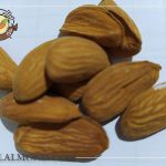 فروش بادام شاهرودی با پوست به صورت عمده