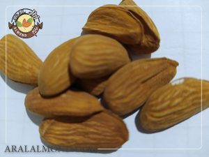 فروش بادام شاهرودی با پوست به صورت عمده